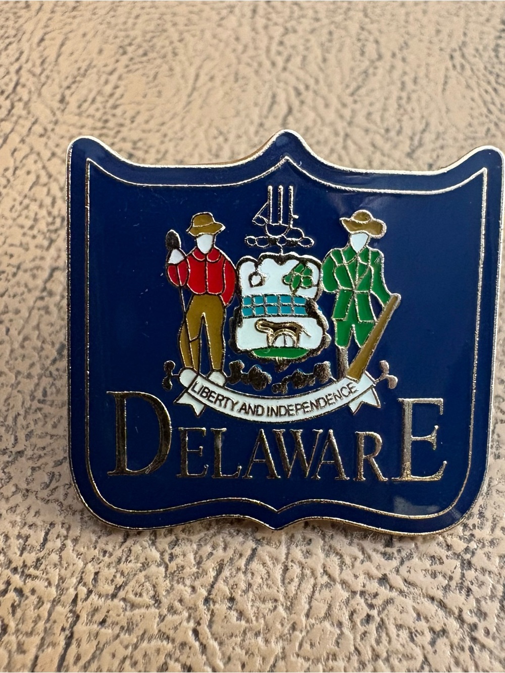 Delaware State Seal Decorative Pin in Navy Blue